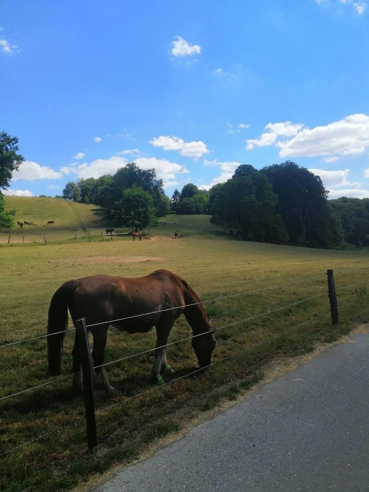 Elegant In Ludenberg Dusseldorf